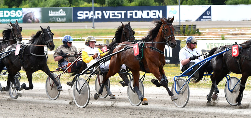 TIPSANALYSER til alle løbene - AALBORG torsdag 24. september