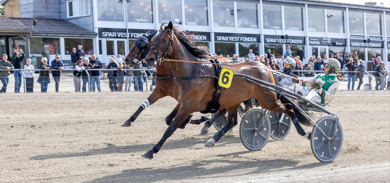 STARTLISTER - Aalborg indleder oktober måned på torsdag med otte løb