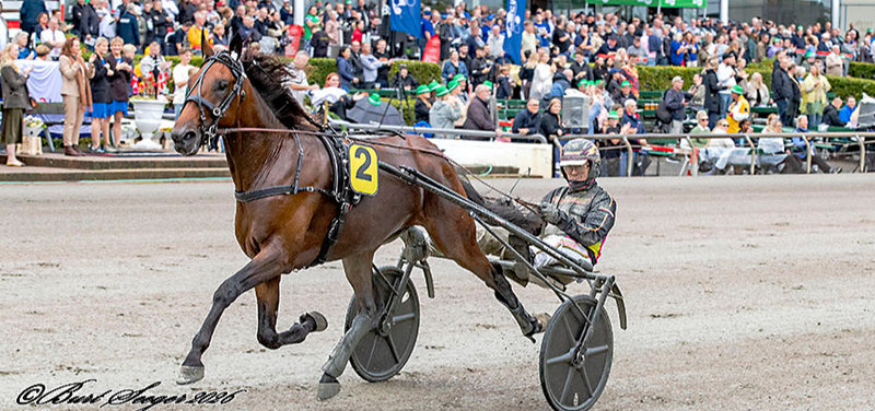 JÄGERSRO - Breeders Course-finaler for 2-års med danske islæt