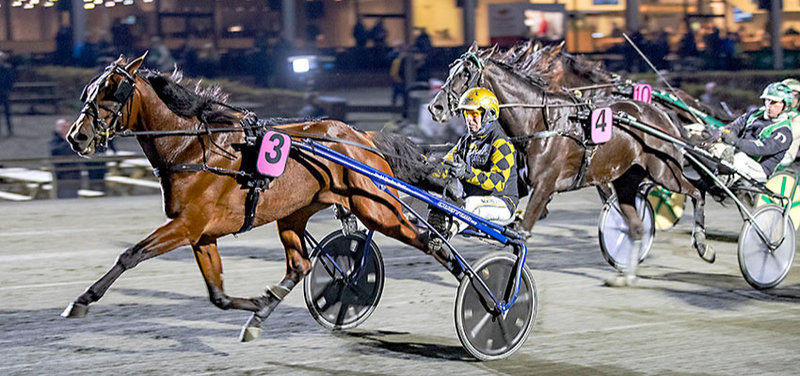 SPORT - Propositionerne for november måned er klar