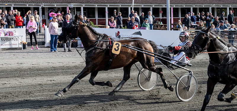 STARTLISTER - Bornholm lørdag 10. oktober med otte løb på programmet