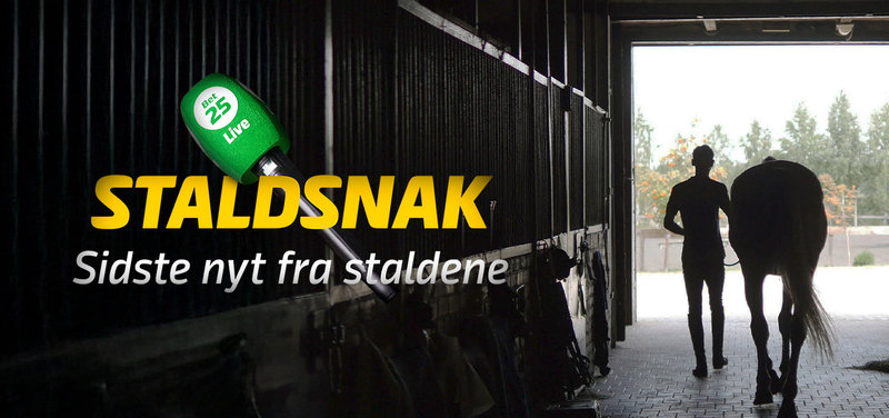 STALDSNAK med Mikkel Johansen - Skive onsdag 7. oktober