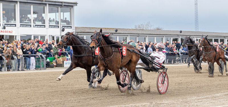 TIPSANALYSER til alle løbene - SKIVE V65 onsdag 14. oktober
