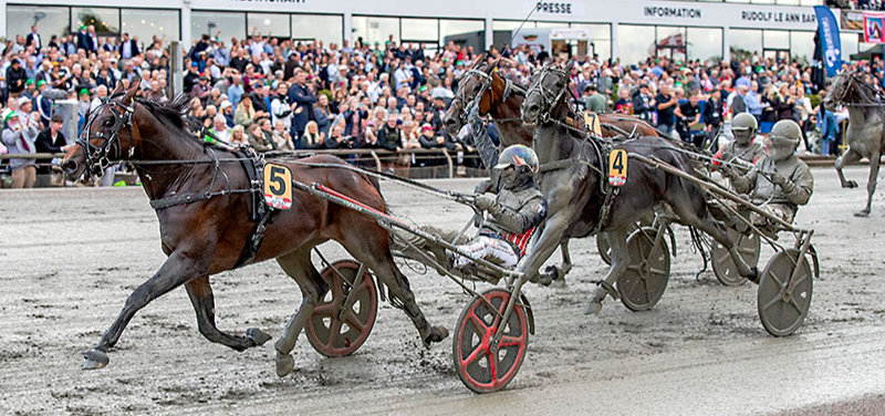 POINTBEREGNING - Grand Circle 4-års Championater i Odense 23. oktober