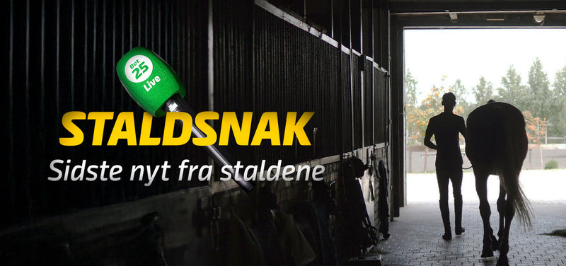 STALDSNAK med Mikkel Johansen - Lunden onsdag 21. oktober