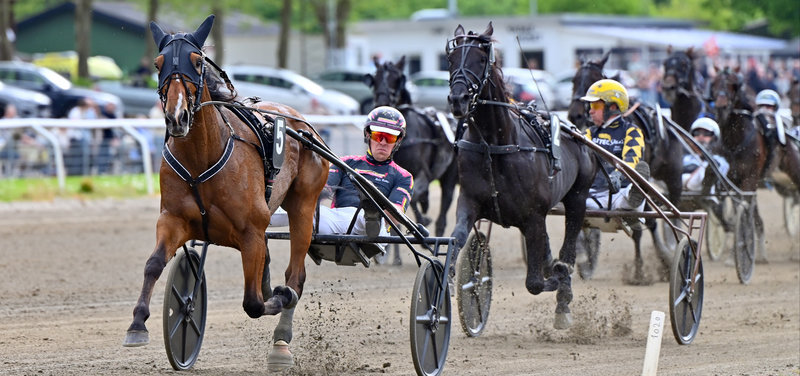 TIPSANALYSER til alle løbene - ODENSE fredag 23. oktober - Grand Circle