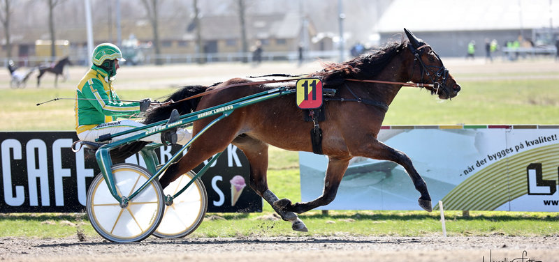 AUKTION - Make A Wish skifter fra Magnus M. til Christian Sejer