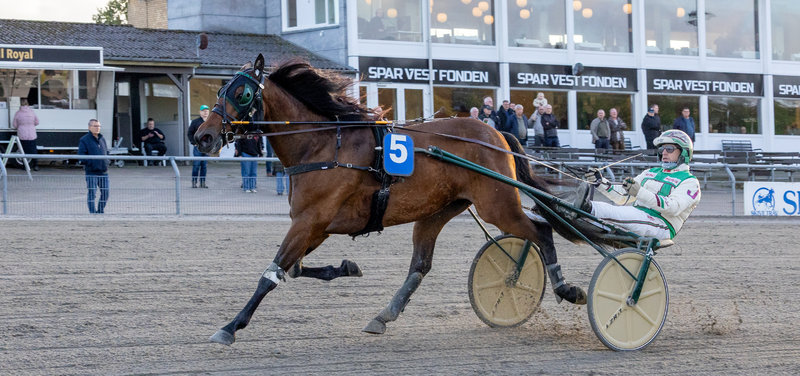 STARTLISTER - Lunden søndag og Aalborg mandag